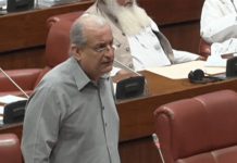 May 9 rioters should be dealt with severely, but not under army laws: PPP’s Raza Rabbani