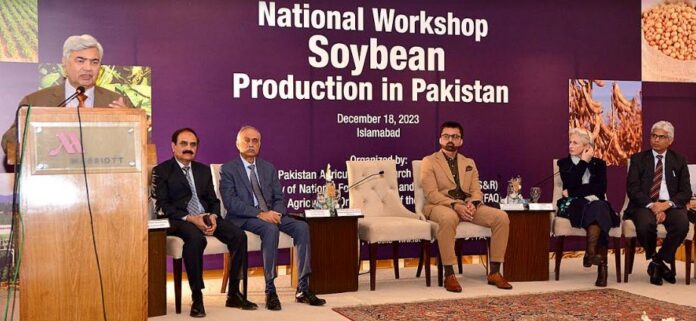 Soybean-2030 Plan: Pakistan's roadmap to reduce import bill and boost production