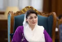 CM welcomes US–Iran ceasefire, praises Pakistan’s role in promoting global peace Senate elections: Punjab CM Maryam Nawaz felicitates victorious candidates