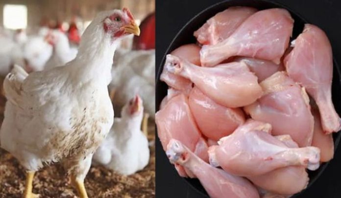 Chicken meat prices continue downward trend