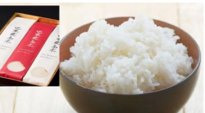 Japan produces world's priciest rice at $109/kg