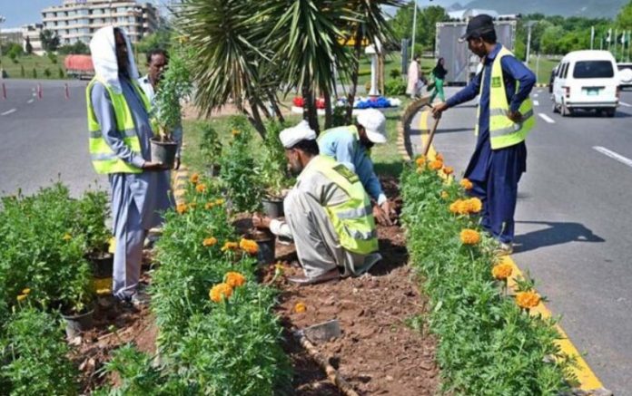 CDA's beautification drive transforms Islamabad, residents praise city's new look