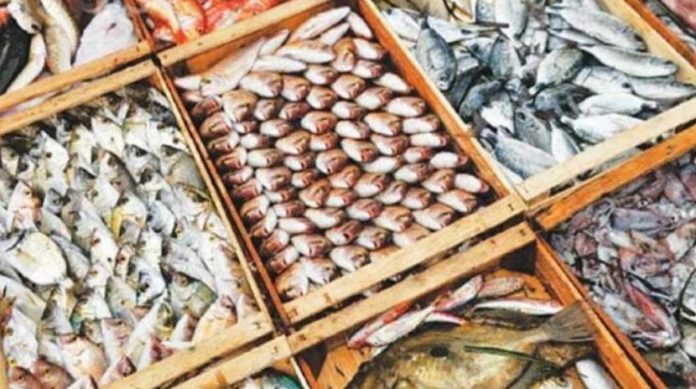 Pakistani hairtail and aquatic products gain popularity in China