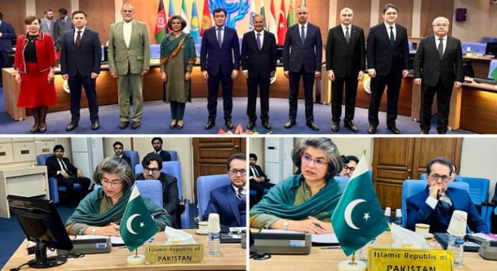 Pakistan calls for comprehensive reforms in ECO at Tehran meeting