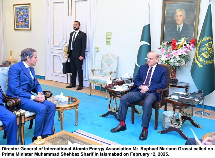 PM, IAEA chief discusses peaceful use of atomic tech