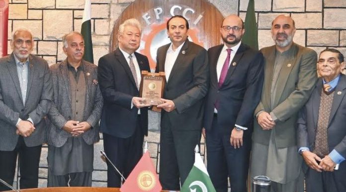 Strengthening relations with Pakistan among priorities, says Kyrgyz envoy