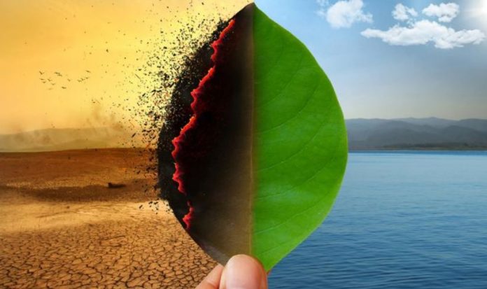 Climate change – Fighting a battle for survival