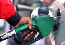 Carbon levy on fuels proposed to fund green initiatives