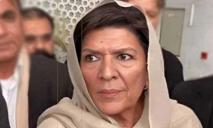 Aleema Khan says sons targeted for being Imran Khan's nephews