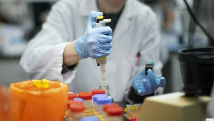 Poliovirus found in 36pc samples across 87 nationwide districts tested in July