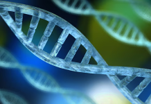 Scientists achieve breakthrough in diabetes treatment