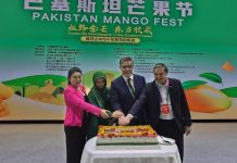 Pakistan showcases mangoes at Beijing’s “Golden Silk Road” fest Pakistan showcases mangoes at Beijing’s "Golden Silk Road" fest
