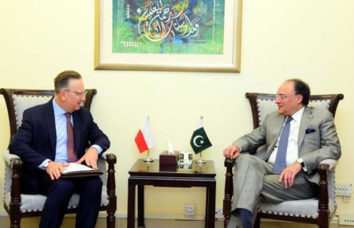 Pakistan, Poland vow to deepen bilateral ties
