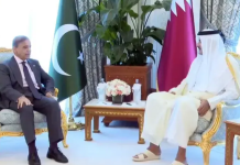 FO confirms PM Shehbaz’s participation in Arab-Muslim moot on Israeli strikes in Qatar PM Shehbaz’s participation in Arab-Muslim moot