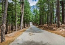 KP Govt plans eco tourism zone at Usho Forest Kalam: Secretary KP Govt plans eco tourism zone at Usho Forest Kalam: Secretary