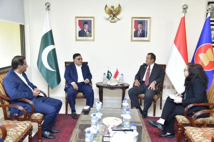 We want to further strengthen ties with Pakistan: Indonesian envoy