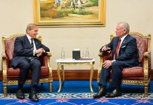 Pakistan, Jordan demand Gaza ceasefire, aid delivery Pakistan, Jordan demand Gaza ceasefire, aid delivery