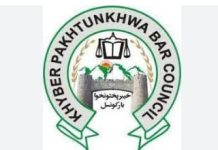 KP Bar Council elections 2025, campaigns enter final stage as election fever peaks in Hazara Division KP Bar Council elections 2025, campaigns enter final stage as election fever peaks in Hazara Division