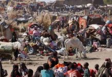 Sudan army retreats from el-Fasher as UN warns of RSF atrocities Sudan army retreats from el-Fasher as UN warns of RSF atrocities