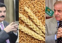 Punjab govt writes to KP over wheat transport issue Punjab govt writes to KP over wheat transport issue