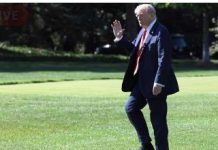 Trump plans summit on Gaza during Egypt visit next week: reportsBy: Reuters