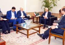 Pakistan Engages Vietnam, Iran to Boost Economy