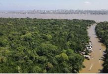 Trees, targets and trillions: what’s on the agenda at COP30? Trees, targets and trillions: what's on the agenda at COP30?