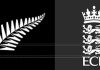 Brook’s defiant ton in vain as New Zealand beat England Brook's defiant ton in vain as New Zealand beat England