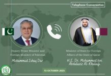 Qatar appreciates Pakistan’s role in regional peace, security Qatar appreciates Pakistan's role in regional peace, security