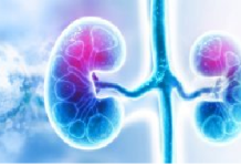 Researchers find new way to halt rare kidney cancer