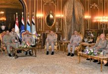 Pakistan, Egypt explore defence ties