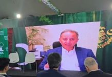 Pakistan urges global action on melting glaciers at COP30 Pakistan urges global action on melting glaciers at COP30