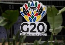 Five things to know about Africa’s first G20 Five things to know about Africa's first G20