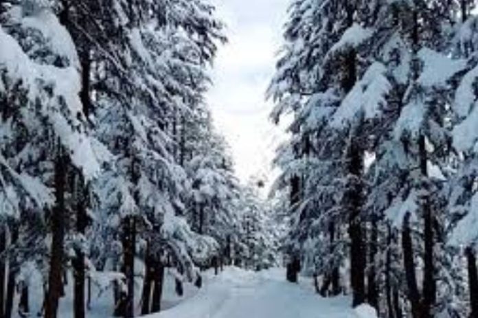 Snowfall transforms northern Pakistan into winter wonderland