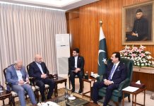 Gilani calls for stronger Pakistan-Iran parliamentary, economic and cultural cooperation