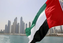 UAE not issuing visas to Pakistanis, interior ministry official tells Senate body