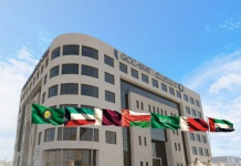 Oman achieves major economic, social milestones: GCC-Stat