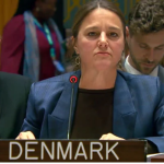 UNSC panel terms Afghan-backed TTP serious threat to Pakistan security