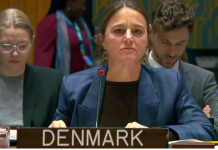 UNSC panel terms Afghan-backed TTP serious threat to Pakistan security