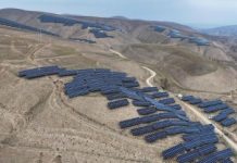 Renewables outpace fossil fuels despite US policy shift: IEA Renewables outpace fossil fuels despite US policy shift: IEA