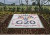 Johannesburg gets rushed makeover for G20 chiefs Johannesburg gets rushed makeover for G20 chiefs