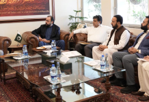 Minister Salik orders swift action on workers offloading at airport