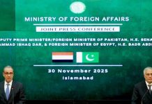 Pakistan, Egypt move to boost trade with 250-firm white list Pakistan, Egypt move to boost trade with 250-firm white list