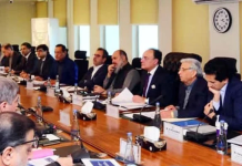 ECC approves Rs659.6bn guarantee for Power Holding Company debt settlement
