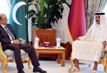 In meeting with Qatari emir, President Zardari pushes to expand defence collaboration In meeting with Qatari emir, President Zardari pushes to expand defence collaboration