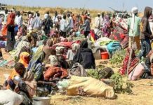 Violence in Sudan’s El-Fasher ‘stain’ on international community: UN rights chief Violence in Sudan's El-Fasher 'stain' on international community: UN rights chief