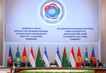 The President of Uzbekistan outlines priority areas for practical regional cooperation within the new format