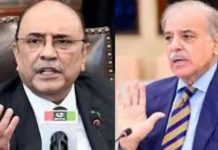 PM Shehbaz, President Zardari review national security matters
