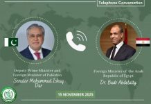 Dar, Egyptian FM discuss Gaza peace, regional developments Dar, Egyptian FM discuss Gaza peace, regional developments