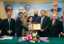 Direct flights key to unlocking Nepal-Pakistan economic potential: Envoy